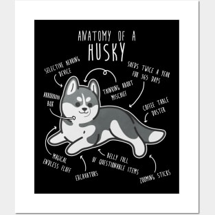 Grey Siberian Husky Dog Anatomy Posters and Art